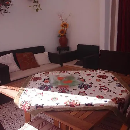 Il Mare Sotto Casa Lido Conchiglia