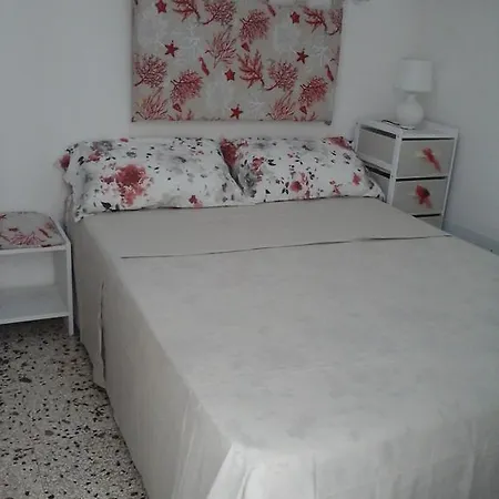 Il Mare Sotto Casa Lido Conchiglia